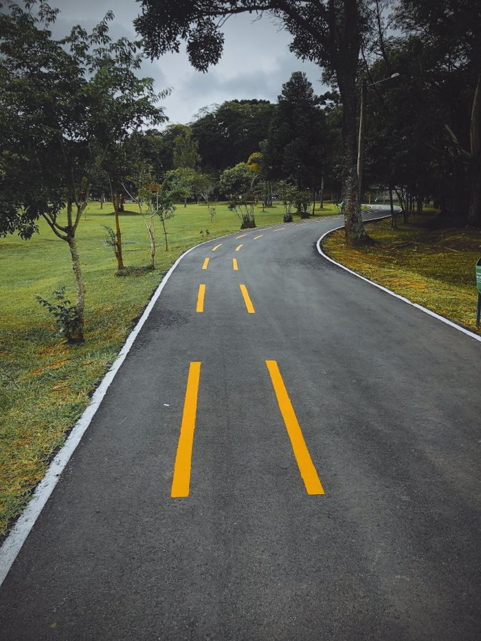 An empty curvy road with yellow lines through a lush green park on a cloudy day.