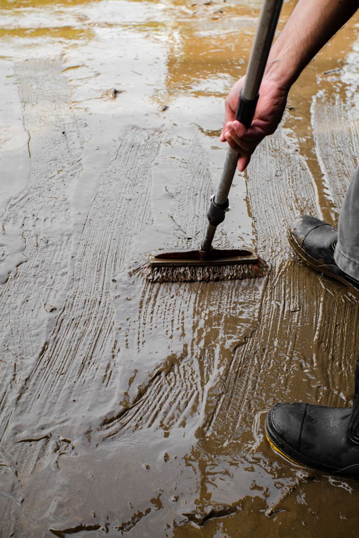 An adult using a brush to clean a muddy, wet floor. Close-up view.
